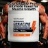 OEM/ODM Creatine Monohydrate Powder Pure Micronized Creatine Powder for Gain Lean Muscle, Strength & Support Workout Recovery