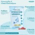 Supply Private Label Instant Hydration Electrolyte Provide Energy Electrolyte Gummies Hydration Gummies