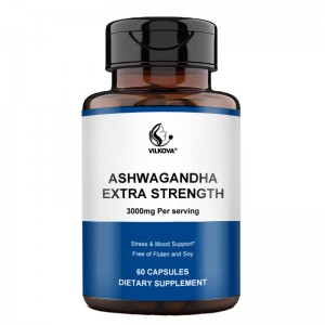 OEM 100% Natural Ashwaganda Extract Capsule 3000mg Antioxidant Powder Dosage Form for Adults Not for Pregnant Women