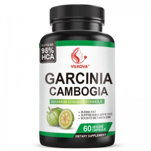 OEM Natural Slimming Capsules 95% HCA Concentration Garcinia Cambogia Extract Powder Supports Weight Goals and Energy