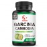 OEM Natural Slimming Capsules 95% HCA Concentration Garcinia Cambogia Extract Powder Supports Weight Goals and Energy