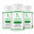 OEM Natural Slimming Capsules 95% HCA Concentration Garcinia Cambogia Extract Powder Supports Weight Goals and Energy