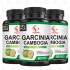 OEM Natural Slimming Capsules 95% HCA Concentration Garcinia Cambogia Extract Powder Supports Weight Goals and Energy