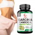 OEM Natural Slimming Capsules 95% HCA Concentration Garcinia Cambogia Extract Powder Supports Weight Goals and Energy