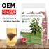 Natural plants tea Ginseng, Turmeric, Cinnamon, Ginger, Lorraine, Flower, Chamomile